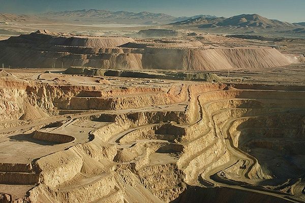 Una tesis demuestra que la vegetación puede ayudar a regenerar los suelos mineros en zonas desérticas - 4, Foto 4