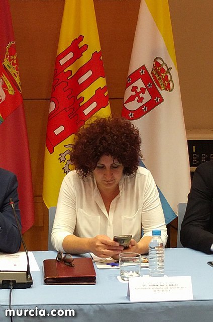 IU denuncia la ausencia de participación en los Consejos de Alcaldes, Foto 2