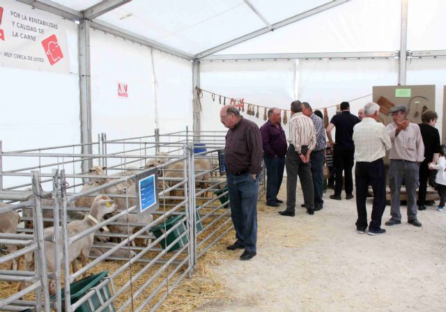 Exposiciones, charlas, talleres y degustaciones, en la Feria de Ovino Segureño y Ganadería de Caravaca - 3, Foto 3