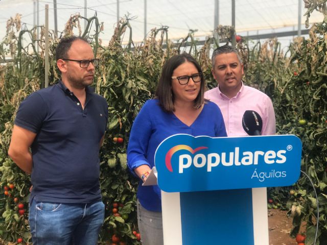 El PP apostará por el agroturismo de la mano de los agricultores para atraer un turismo no estacional - 1, Foto 1