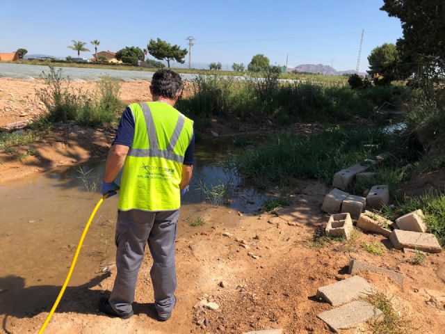 El Ayuntamiento continúa con la vigilancia y tratamiento contra la plaga del mosquito - 1, Foto 1