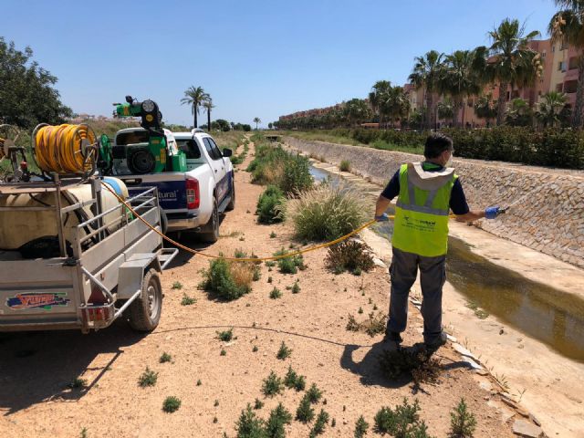 El Ayuntamiento continúa con la vigilancia y tratamiento contra la plaga del mosquito - 2, Foto 2