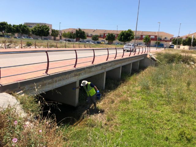 El Ayuntamiento continúa con la vigilancia y tratamiento contra la plaga del mosquito - 3, Foto 3