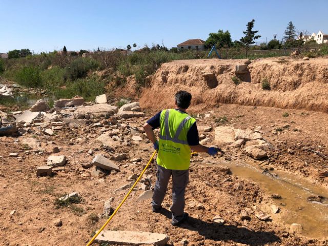 El Ayuntamiento continúa con la vigilancia y tratamiento contra la plaga del mosquito - 4, Foto 4