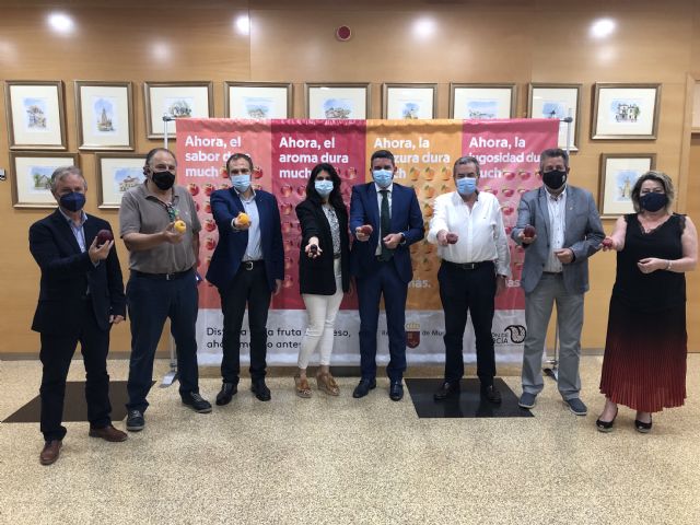 La Comunidad lanza una campaña promocional para incentivar el consumo de fruta de hueso de la Región de Murcia - 1, Foto 1