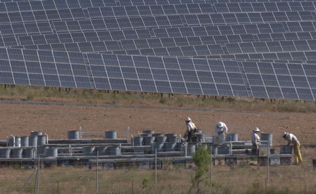 Iberdrola recoge la producción de miel solar del colmenar fotovoltaico más grande del mundo - 1, Foto 1