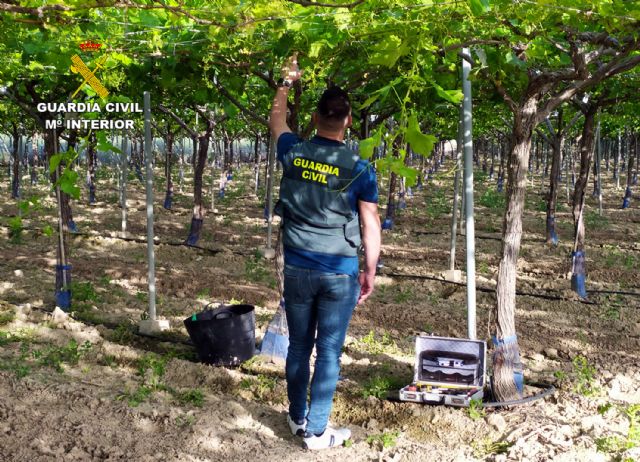 La Guardia Civil esclarece más de una decena de robos y hurtos de uva en el Valle del Guadalentín, Foto 3