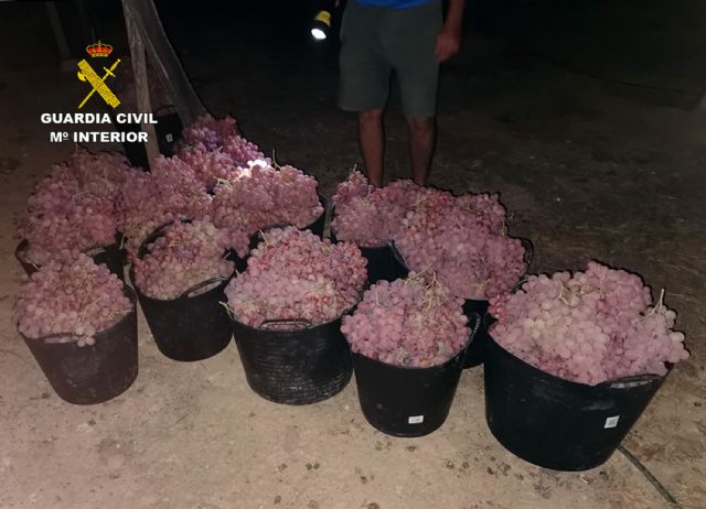 La Guardia Civil esclarece más de una decena de robos y hurtos de uva en el Valle del Guadalentín, Foto 7