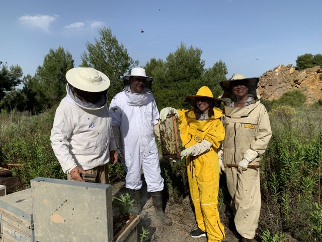 Destinan 715.000 euros al año para el impulso y la mejora de las técnicas empleadas en el sector apícola - 1, Foto 1