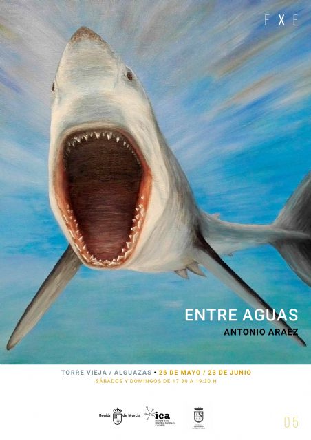 El Plan EXE comienza con las exposiciones de Pedro José Sánchez Marín en Calasparra y Antonio Aráez en Alguazas - 2, Foto 2