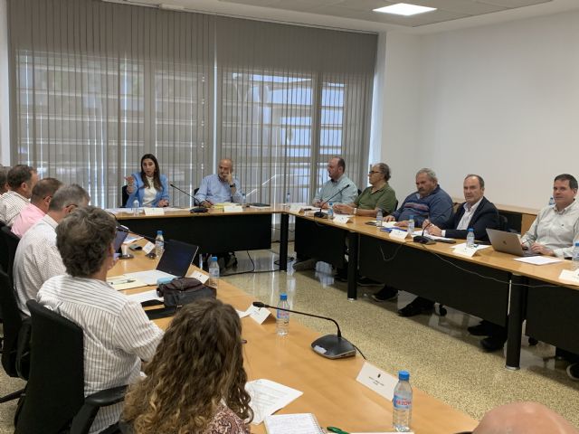 Proponen la unión del sector del limón en una asociación de organizaciones de productores - 1, Foto 1