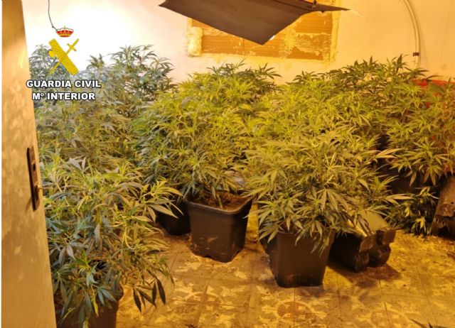 La Guardia Civil desmantela un grupo criminal dedicado a cometer atracos y al cultivo ilícito de marihuana - 1, Foto 1