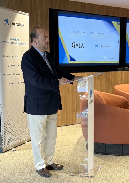CaixaBank y el Grupo de Investigación GAIA de la UCAM reúnen en Murcia a expertos y empresas para impulsar la financiación sostenible como palanca de crecimiento - 3, Foto 3