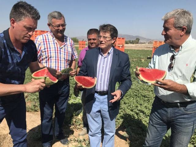 Presentan la campaña de promocin y consumo de sanda 