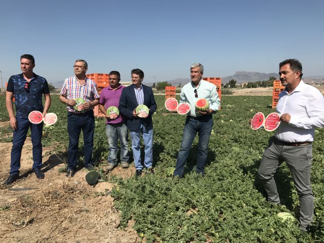Ayuntamiento y FECOAM ponen en marcha la campaña Si tienes sed, cómeme - 1, Foto 1