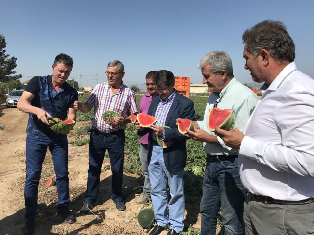 Ayuntamiento y FECOAM ponen en marcha la campaña Si tienes sed, cómeme - 2, Foto 2