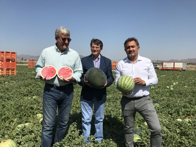 Ayuntamiento y FECOAM ponen en marcha la campaña Si tienes sed, cómeme - 3, Foto 3