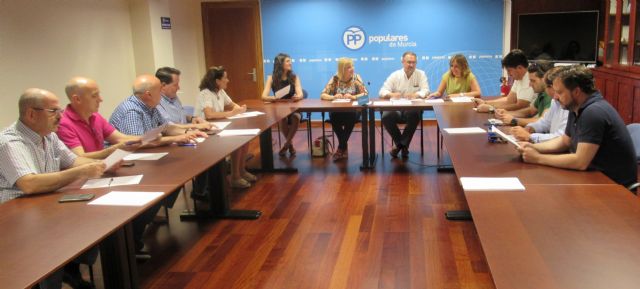 El PPRM constituye la Comisión de Sanidad para desarrollar propuestas en materia preventiva y de asistencia que mejoren la atención sanitaria de toda la sociedad - 1, Foto 1