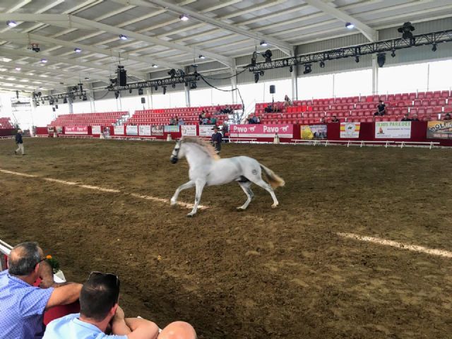 Se cancela Fericab 2020 ante la situación de alerta sanitaria provocada por el coronavirus - 2, Foto 2