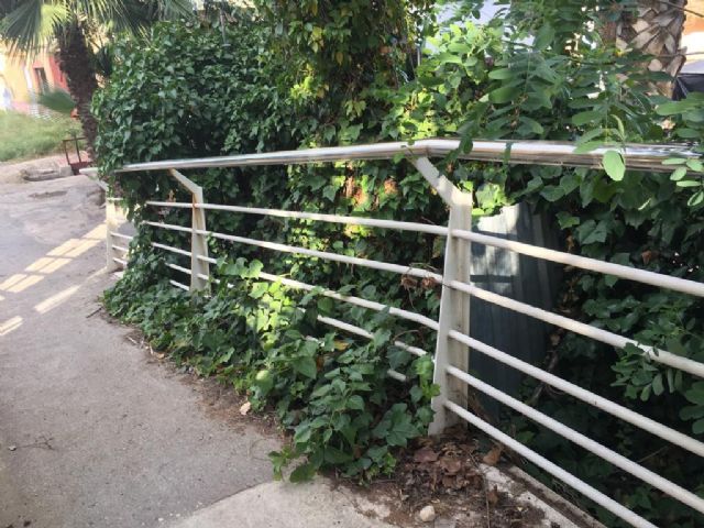 El PP publica un reportaje fotográfico del DESGOBIERNO PSOE-CIUDADANOS que invade Las Torres de Cotillas - 4, Foto 4