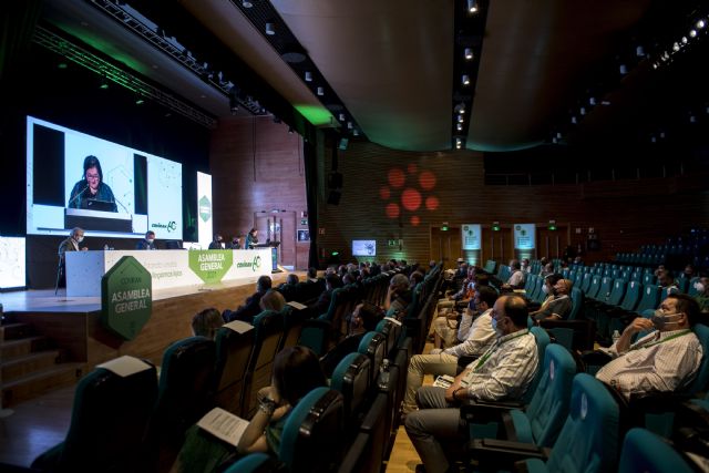 La Asamblea General de Coviran aprueba las cuentas anuales de 2020 y la gestión del consejo rector - 2, Foto 2