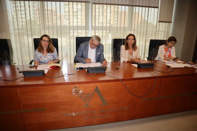 El grupo parlamentario liberal impulsa la utilización del Puerto de Cartagena como centro logístico por las empresas de la Región - 2, Foto 2