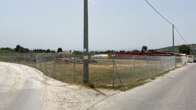 El Ayuntamiento habilita dos solares para depositar los restos de poda - 2, Foto 2