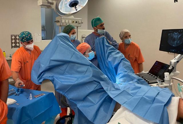 Especialistas de Ribera Hospital de Molina y el Hospital de Denia se dan cita para formar en ablación de miomas por radiofrecuencia - 2, Foto 2
