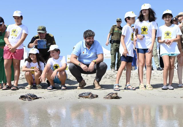 El Gobierno regional libera 30 tortugas bobas en La Manga y prosigue su recuperación y protección con el programa 'Territorio Tortuga' - 1, Foto 1