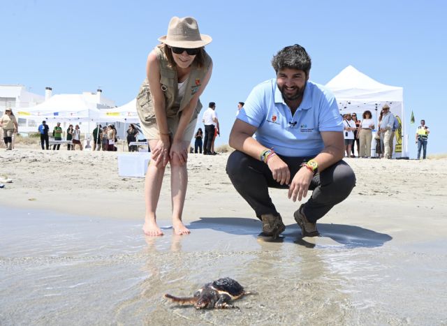 El Gobierno regional libera 30 tortugas bobas en La Manga y prosigue su recuperación y protección con el programa 'Territorio Tortuga' - 2, Foto 2