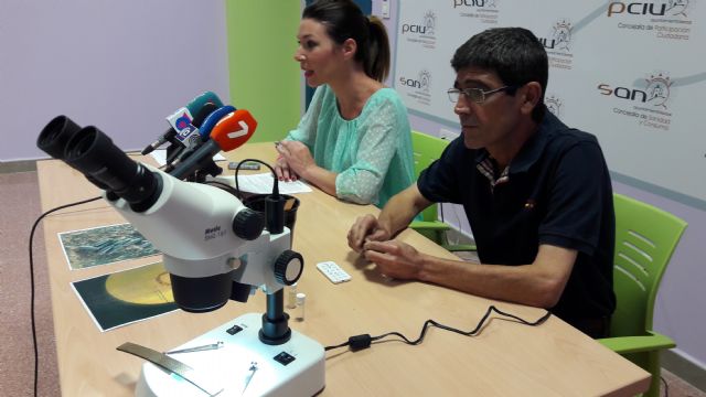 La supervisión de la concejalía de Sanidad mantiene en niveles ínfimos la presencia del mosquito tigre en Lorca - 3, Foto 3