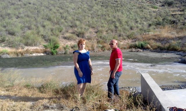 Una balsa ilegal de purines pone en riesgo la salud de los vecinos de La Escarihuela - 1, Foto 1