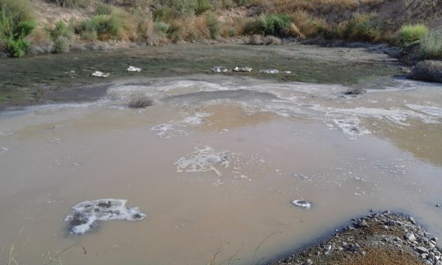 Una balsa ilegal de purines pone en riesgo la salud de los vecinos de La Escarihuela - 2, Foto 2