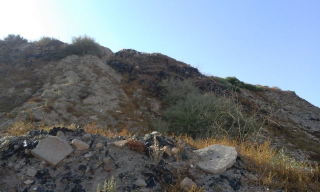 Una balsa ilegal de purines pone en riesgo la salud de los vecinos de La Escarihuela - 3, Foto 3