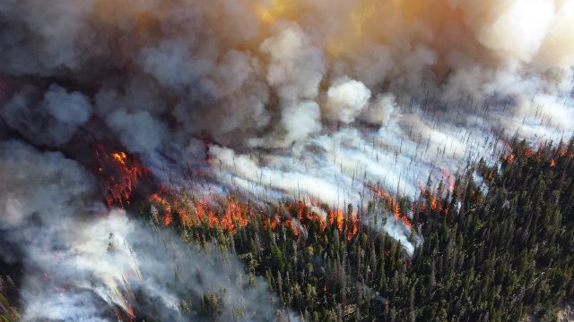 La UMU participa en el desarrollo de un sistema global de predicción estacional de riesgo de incendios basado en su relación con variables climáticas - 1, Foto 1