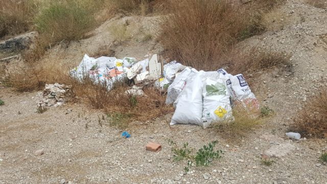 Batería de iniciativas de IU de Lorca centradas en la limpieza y adecuación de solares abandonados - 3, Foto 3