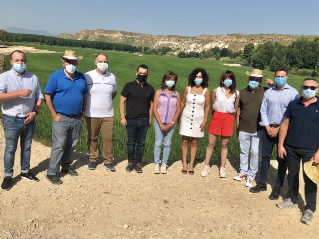 La Comunidad potencia los arrozales de Calasparra como un reclamo de turismo seguro - 2, Foto 2