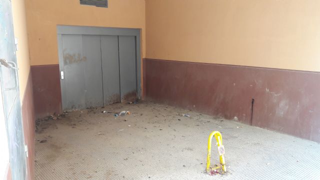 Plagas de ratas y garrapatas, calles más sucias que nunca, nula presencia de la policía local, solares convertidos en vertederos de basura y escombros - 2, Foto 2