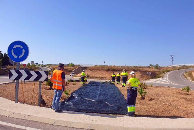 El Ayuntamiento pone en marcha un programa de empleo público para la mejora y ajardinamiento de las siete rotondas que dan acceso a las pedanías - 3, Foto 3