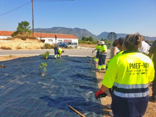 El Ayuntamiento pone en marcha un programa de empleo público para la mejora y ajardinamiento de las siete rotondas que dan acceso a las pedanías - 5, Foto 5