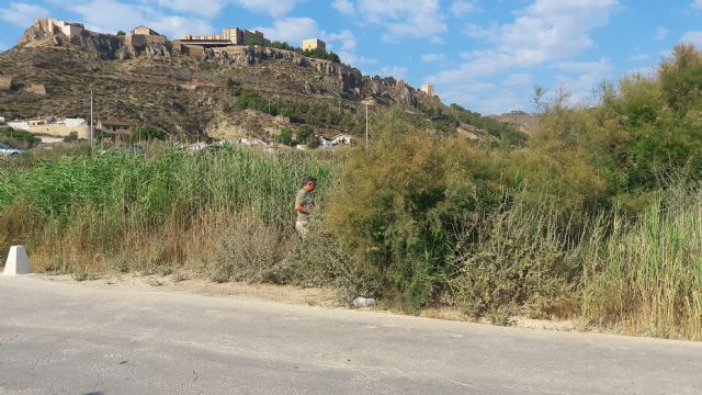 El PP alerta sobre el estado de las ramblas en Lorca; no se ha limpiado ninguna en los últimos dos años y la situación en caso de lluvia fuerte sería de grave riesgo - 1, Foto 1