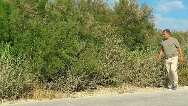 El PP alerta sobre el estado de las ramblas en Lorca; no se ha limpiado ninguna en los últimos dos años y la situación en caso de lluvia fuerte sería de grave riesgo - 2, Foto 2