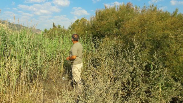 El PP alerta sobre el estado de las ramblas en Lorca; no se ha limpiado ninguna en los últimos dos años y la situación en caso de lluvia fuerte sería de grave riesgo - 3, Foto 3