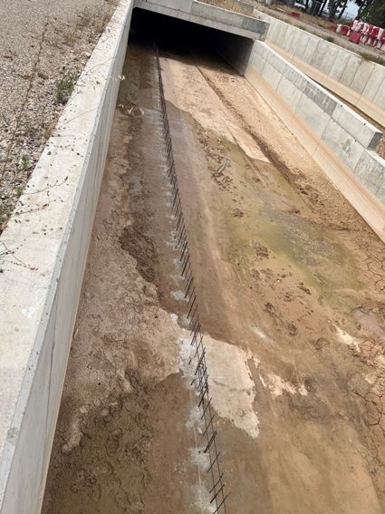 La CHS prevé la creación de un paso para la fauna acuática en el canal de drenaje de D-7 - 1, Foto 1
