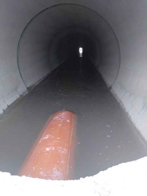 La CHS prevé la creación de un paso para la fauna acuática en el canal de drenaje de D-7 - 3, Foto 3