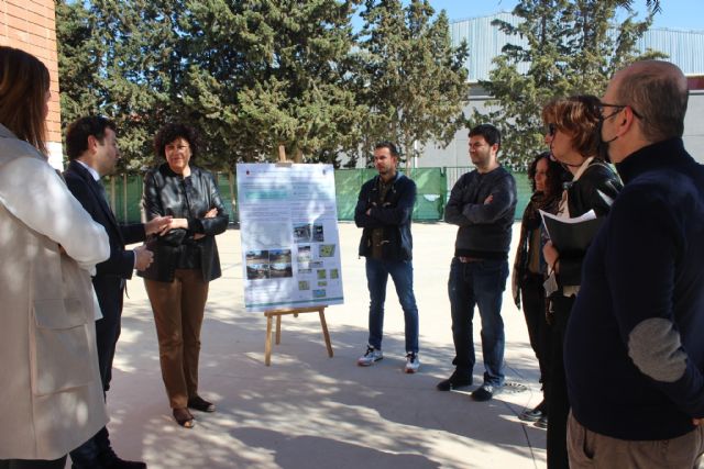 Sale a licitación la redacción del proyecto para la actuación denominada Sombras Innovadoras con Formas Geométricas Basadas en la Naturaleza en los centros educativos - 5, Foto 5
