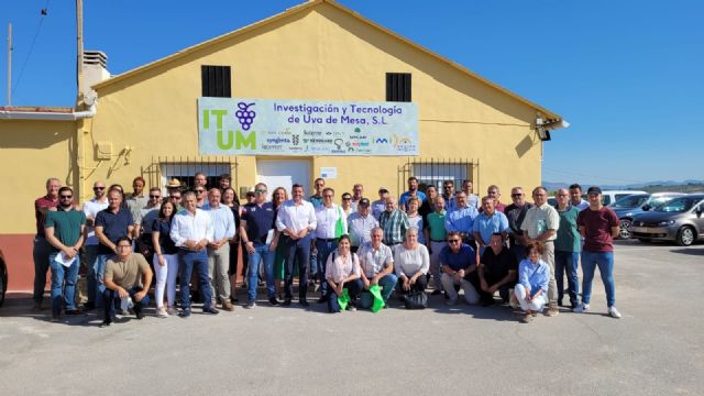 La variedad ITUM de uva de mesa creada por el IMIDA se cultiva en diez países de los cinco continentes con 1.500 hectáreas en producción - 1, Foto 1