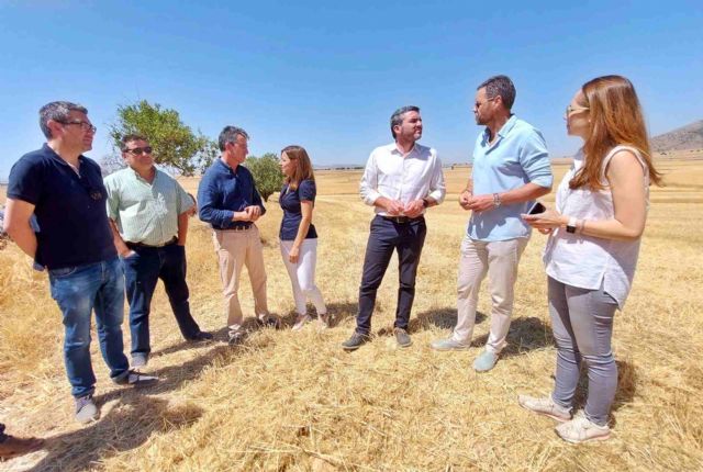Agricultores de cultivos de secano de Caravaca reciben las ayudas por la protección de las aves esteparias - 1, Foto 1