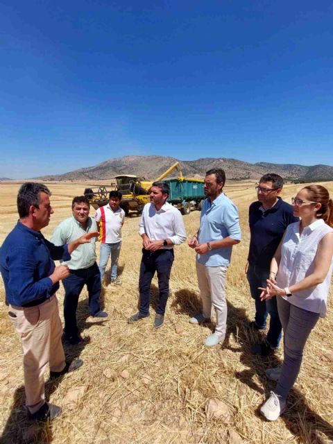 Agricultores de cultivos de secano de Caravaca reciben las ayudas por la protección de las aves esteparias - 2, Foto 2