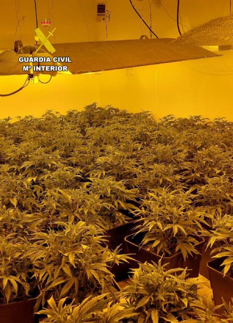 La Guardia Civil desmantela en una vivienda de Beniel un invernadero de marihuana - 2, Foto 2